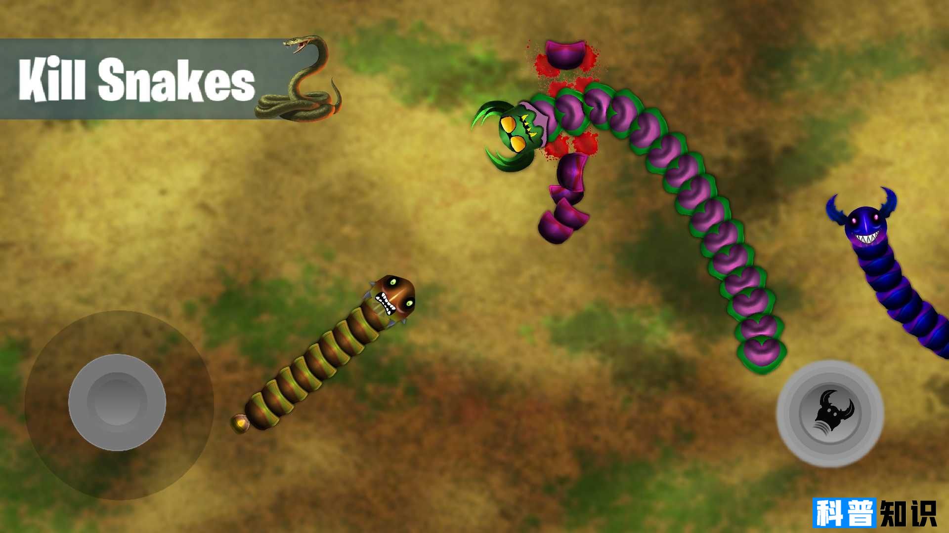 巨型蠕虫蛇