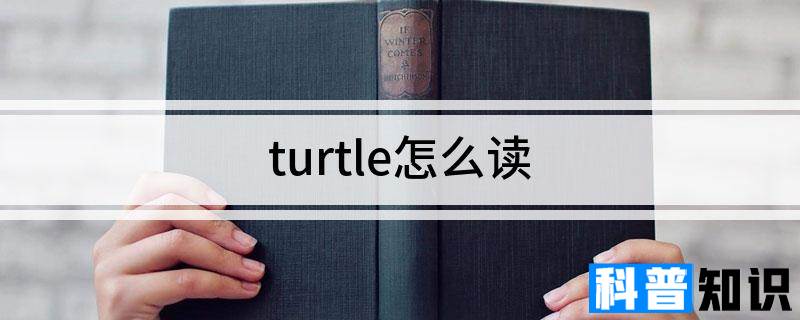 turtle怎么读