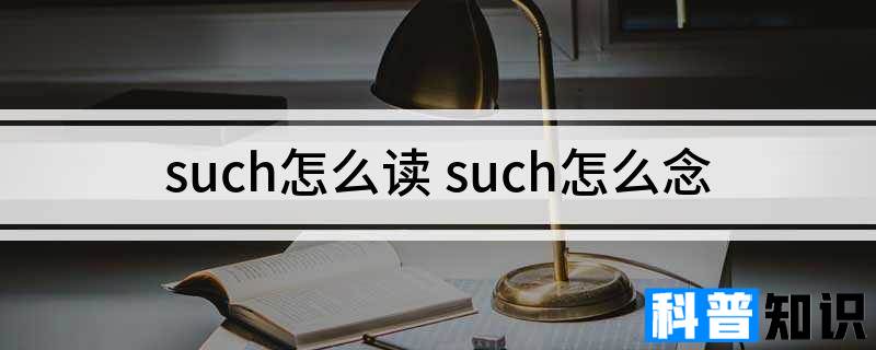 such怎么读 such怎么念
