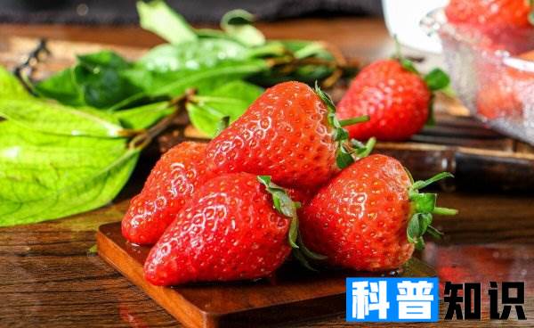 好吃的草莓品种排名前十 盘点国内十大受欢迎的草莓品种
